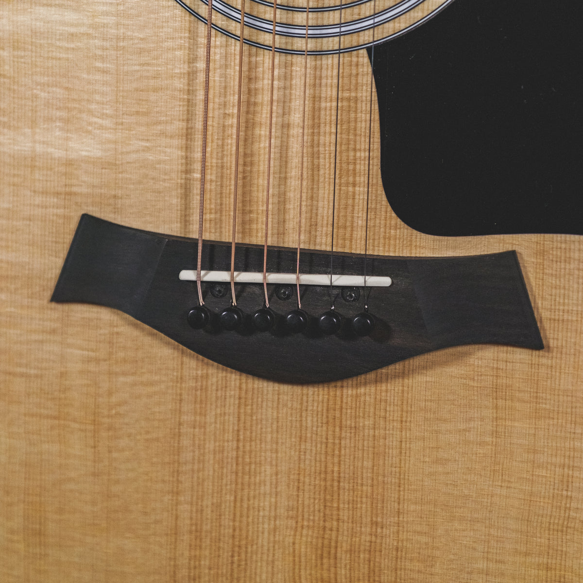 Taylor 2021 110E With OGB - Used