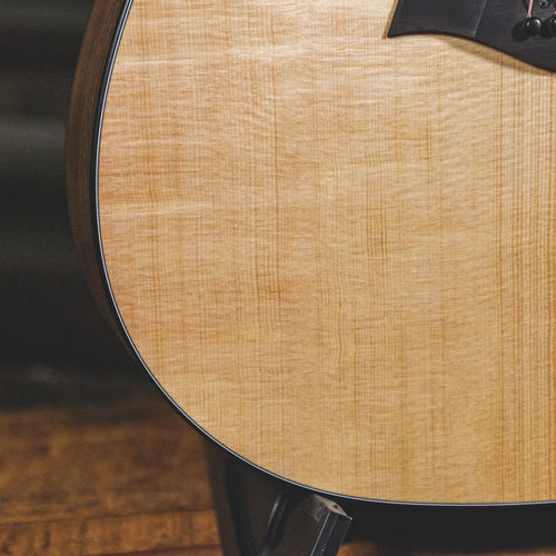 Taylor 2021 110E With OGB - Used