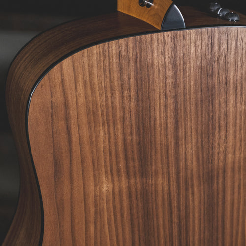 Taylor 2021 110E With OGB - Used