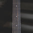 Taylor 2021 110E With OGB - Used