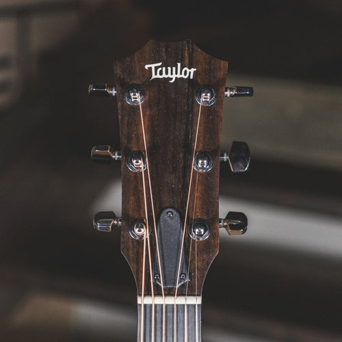 Taylor 2021 110E With OGB - Used