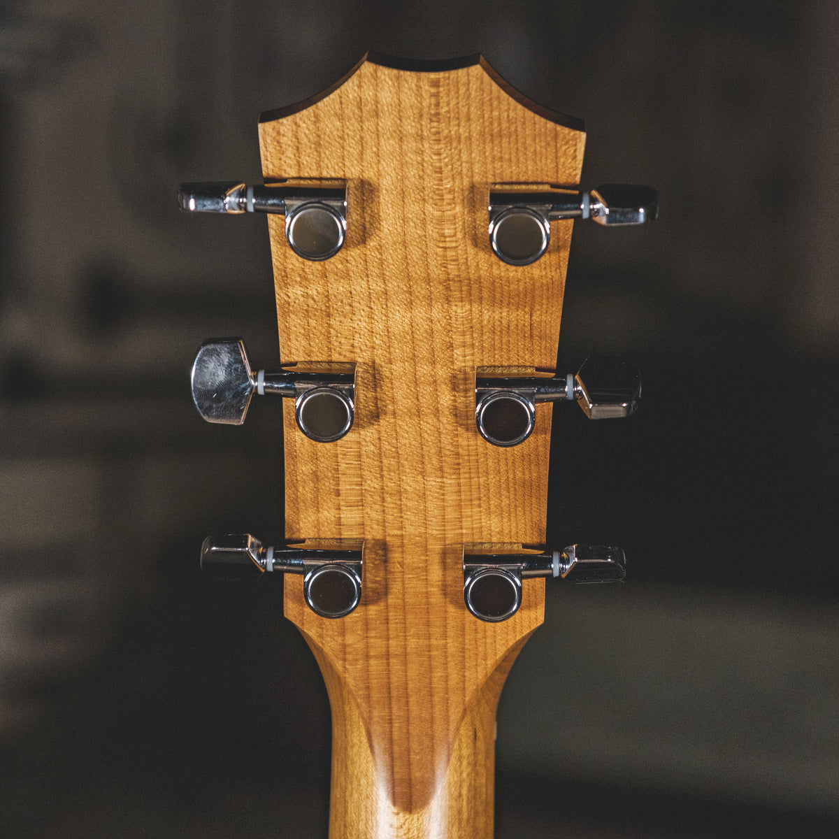 Taylor 2021 110E With OGB - Used