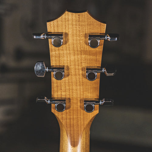 Taylor 2021 110E With OGB - Used