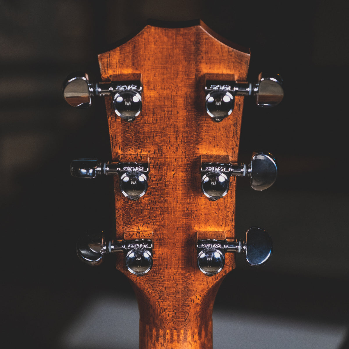 Taylor 1999 310-CE Acoustic Guitar, Natural With OHSC - Used
