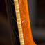 Charles Fox 1999 Sierra Nylon 000 Brazilian With OHSC - Used