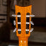 Charles Fox 1999 Sierra Nylon 000 Brazilian With OHSC - Used