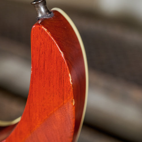 Ibanez RGEW521ZC Natural - Used