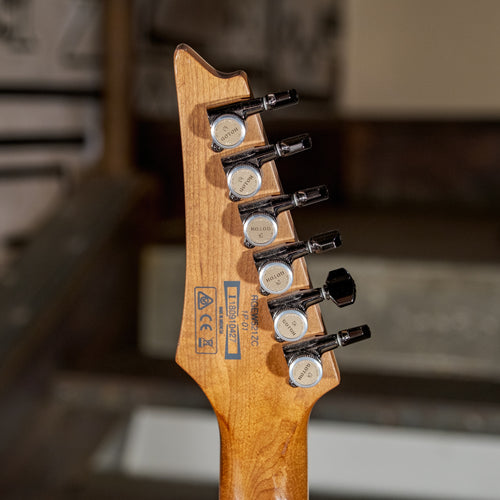 Ibanez RGEW521ZC Natural - Used