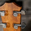 Taylor 312CESBLTD Road Show Tobacco Sunburst With OHSC - Used