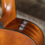 Taylor 312CESBLTD Road Show Tobacco Sunburst With OHSC - Used