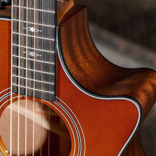 Taylor 312CESBLTD Road Show Tobacco Sunburst With OHSC - Used