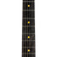 Reverend Rick Vito 3 Oceanside Green Electric Guitar