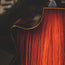 Taylor 2017 914ce LTD Shaded Edgeburst, Cocobolo Back And Sides With OHSC - Used