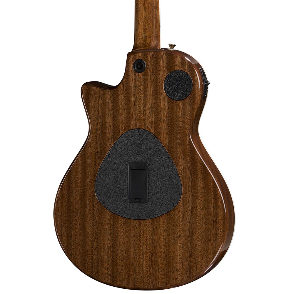 Taylor T5Z Custom Cocobolo - 2017 Roadshow Exclusive