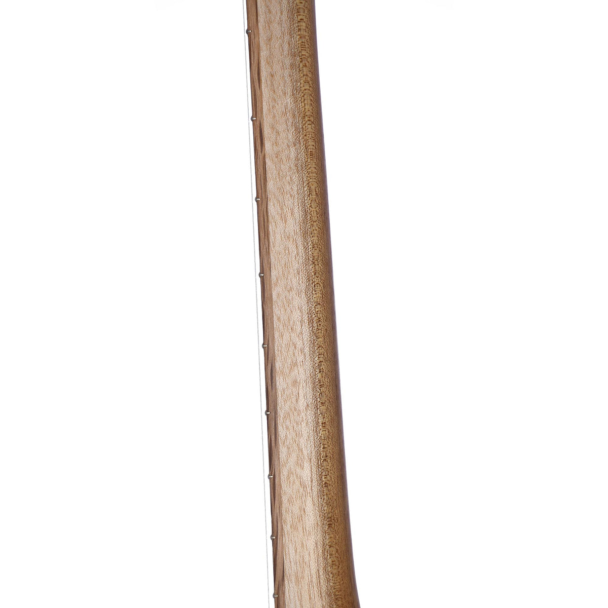 Cole Clark Angel 2 EC Redwood Face European Maple Back And Sides With Cutaway