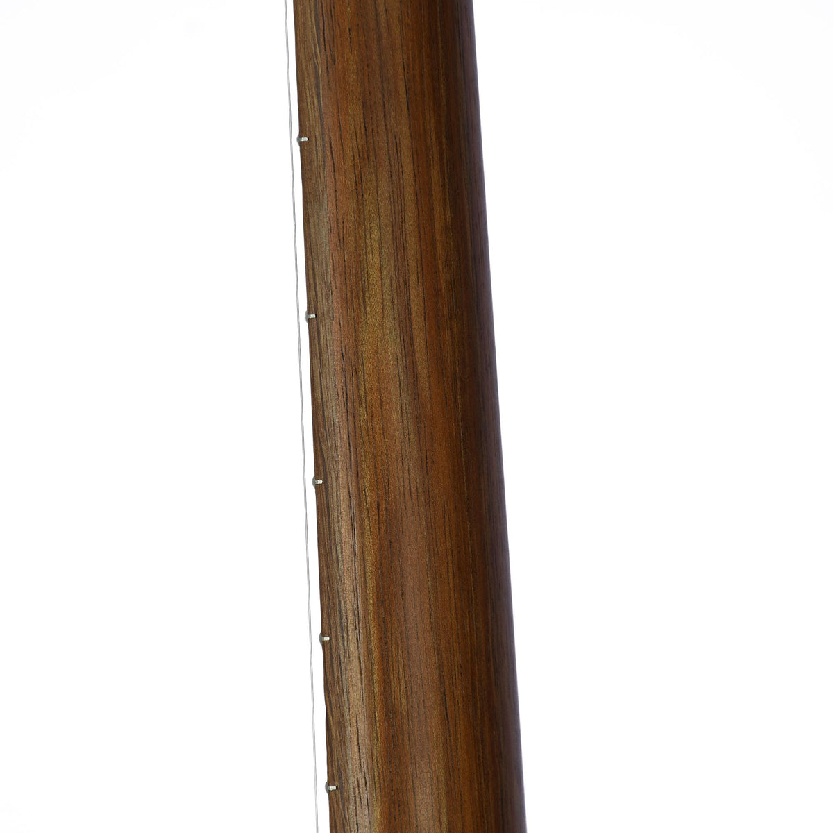 Cole Clark Fat Lady 2 - Australian Blackwood