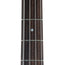 Epiphone Embassy Bass, Smoked Almond Metallic