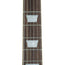 Epiphone Slash Les Paul Standard November Burst Electric Guitar
