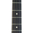 Fender Acoustasonic Player Telecaster Rosewood, Butterscotch Blonde