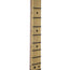 Fender American Performer Telecaster Maple, Penny