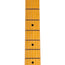 Fender American Professional II Stratocaster Electric Guitar, HSS Maple, Olympic White