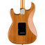 Fender American Professional II Stratocaster Maple, Roasted Pine