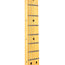 Fender Britt Daniel Telecaster Thinline Maple Fingerboard Amarillo Gold