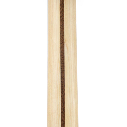 Fender Limited Edition American Professional Telecaster Ebony, Lake Placid Blue