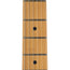 Fender Player Plus Nashville Telecaster Maple, Butterscotch Blonde