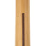 Fender Player Plus Nashville Telecaster Maple, Butterscotch Blonde