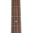 Fender Player Plus Precision Bass Pau Ferro, 3-Color Sunburst
