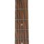 Fender Player Plus Stratocaster HSS Pau Ferro, Silverburst