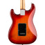 Fender Player Stratocaster HSS Plus Top, Maple, Aged Cherry Burst