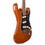 Fender Player Stratocaster Maple Fingerboard Aged Natural