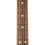 Fender Player Stratocaster Maple Fingerboard Aged Natural