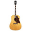 Gibson Sheryl Crow Country & Western Supreme Signed Limited Run