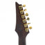 Ibanez RG420HPAH RG High Performance Electric Guitar, Blue Wave Black