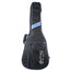 Martin 00LX2E With Gig Bag
