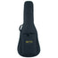 Martin D10E Road Series Acoustic Electric Guitar- Natural with Soft Case