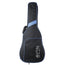 Martin DCX2E Mahogany With Gig Bag