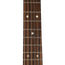 Martin DCX2E Mahogany With Gig Bag