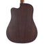 Martin DCX2E Rosewood With Gig Bag