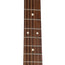 Martin DCX2E Rosewood With Gig Bag