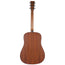 Martin DX1E Natural Mahogany With Gig Bag