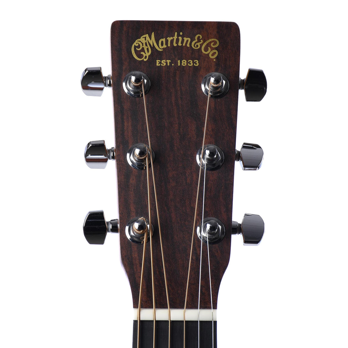 Martin DX1E Natural Mahogany With Gig Bag