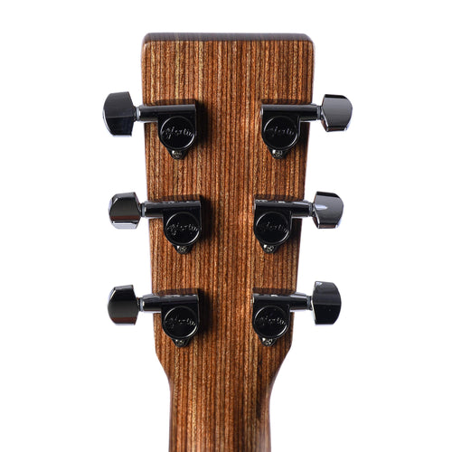 Martin DX1E Natural Mahogany With Gig Bag