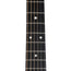 Martin DX1E Natural Mahogany With Gig Bag