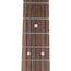 Martin DX2E 12-String Acoustic Guitar With Gig Bag