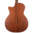 Martin Grand Performance Road Series With Case