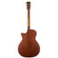Martin Grand Performance Road Series With Case